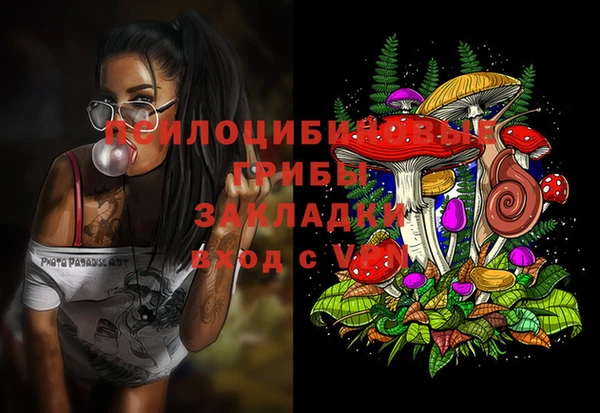 скорость Горно-Алтайск
