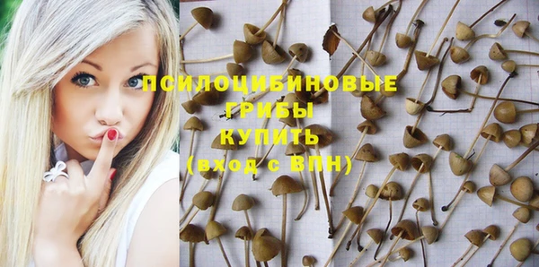 mix Гусиноозёрск