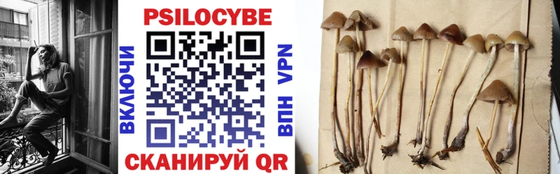 где найти   блэк спрут ССЫЛКА  Псилоцибиновые грибы Psilocybe  Отрадная 